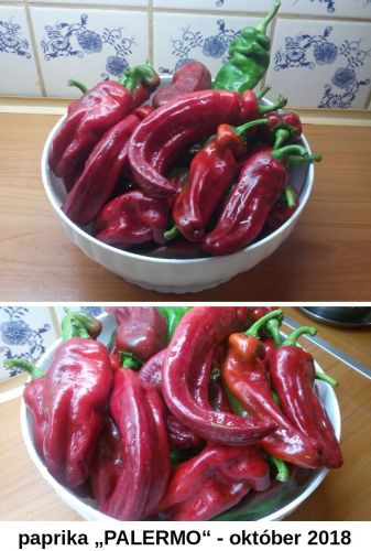 Paprika Palermo2